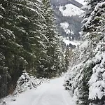 Sonnenplatz Ploninger Almnest Apartment *